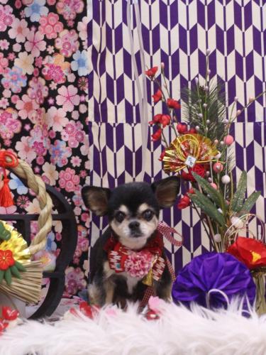 20250117モカちゃん